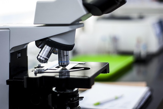 聚氨酯陽聚劑在皮革涂飾、木器涂料和織物整理中的應用實踐與性能優勢