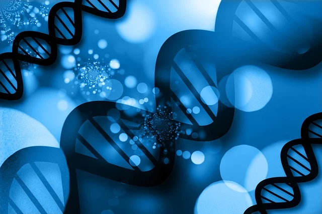 一種多功能胺類催化劑kc101,可與多種催化劑協同,調節反應速度